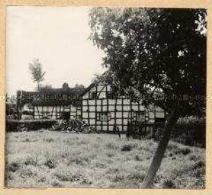 Hohes Venn in Höfen