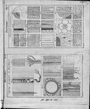 Tafel 23 : zur Isis Heft XI. 1818