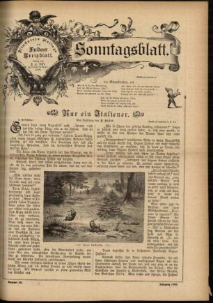 Ausgabe vom Sonntag, den 10. November 1895.