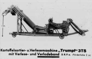 Kartoffelsortier- und Verlesemaschine "Trumpf" 3TS in mit dem Verlese- und Verladeband