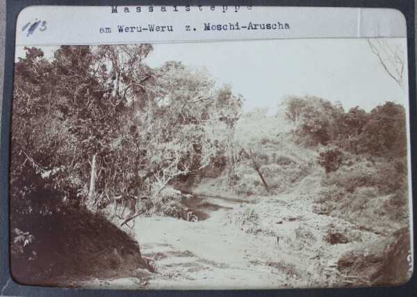 Steppe de Massa au Weru-Weru vers Moschi-Aruscha