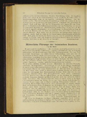 Mütterliche Fürsorge der heimischen Insekten.