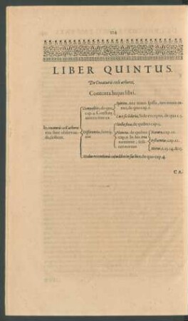 Liber Quintus. De Creaturis coeli aetherei.