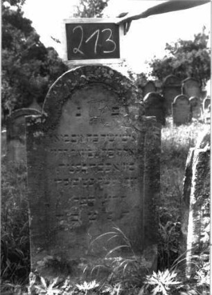 Grabstein 213 (Index: 100103306) Material: Sandstein Zustand: verwittert Maße HxBxT: 103x57x9 cm Beschreibung: Stele, eingezogener Rundbogenabschluss, Schriftfeld eingetieft mit Konvexbogenabschluss, Levitenkanne im Bogenfeld Symbolik: Levitenkanne: Grabstein 213