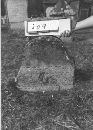 Grabstein 209 (Index: 100009122) Zustand: eingesunken, zum Teil abgebröckelt Maße HxBxT: 49x50x10 cm: Grabstein 209