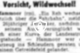 Vorsicht, Wildwechsel!