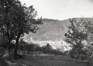 Zell, Ortsansicht mit Turm der Pfarrkirche Sankt Peter und Paul, Blick aus dem Garten über die Mosel nach Nordosten