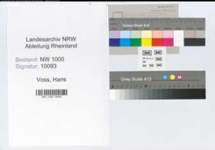 Entnazifizierung Hans Voss, geb. 19.02.1906 (Architekt)