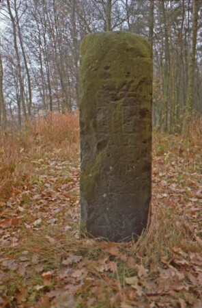 Waldstück westlich Hof Bornbek: Bildstein [Nr. 45, auch trigonometrischer Punkt]