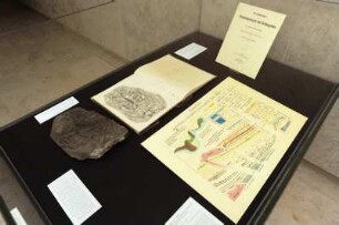 SLUB, Ausstellung "Gespräche mit der Erde. Geowissenschaften in Sachsen" : Ausstellungspräsentation im Buchmuseum. Ausstellungsvitrine zu Zechstein und Rothliegendes mit Teilskelett aus dem Kupferschiefer