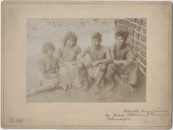 Mbyá family (Baticola)