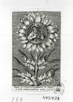 Heiliger Joseph in einer Sonnenblume : Heiliger Joseph in einer Sonnenblume. Kupferstich; 87 x 52 mm (R. Sadeler nach Le Jaune). Dresden: Kupferstich-Kabinett A 43 428 in A 1155, 2