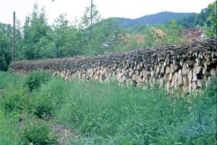 langer Holzstapel am Saaleufer, gespaltene Stämme und Reisig obenauf