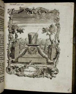 Tab. XXIV. pag. 245.
