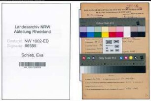 Entnazifizierung Eva Schieb, geb. 28.02.1901 (Lehrerin)