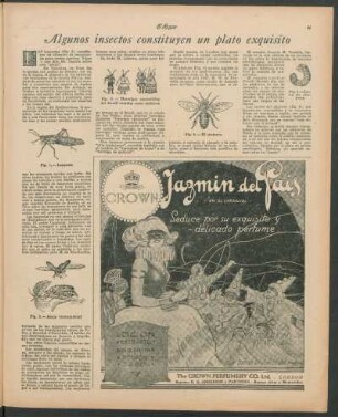 Algunos insectos constituyen un plato exquisito
