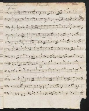 Violoncell