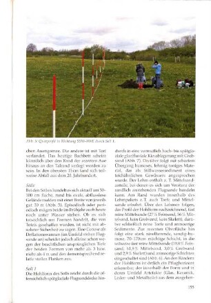 Abb. 5: Querprofil in Richtung SSW-NNE durch Soll 1.