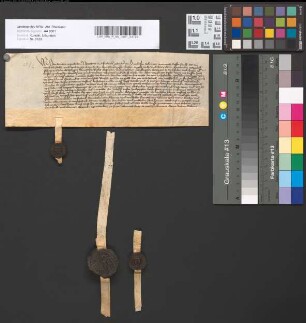 Quittung der Gebrüder Otto, Domherr zu Paderborn, Borchart und Friedrich van Oienhusen über 50 Goldgulden.
