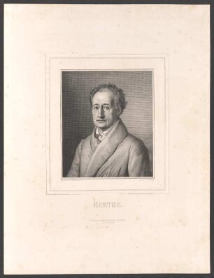 Porträt Johann Wolfgang von Goethe (1749-1832)