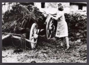 Frau beim Verladen von Mist