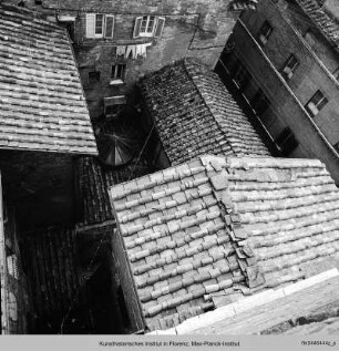 Sant'Antonio Abate (Misericordia), Siena
