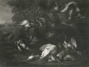 Unbekannter Niederländischer Meister (1700). Stillleben mit toten Vögeln und totem Dach. Öl auf Leinwand, 74 x 97 cm