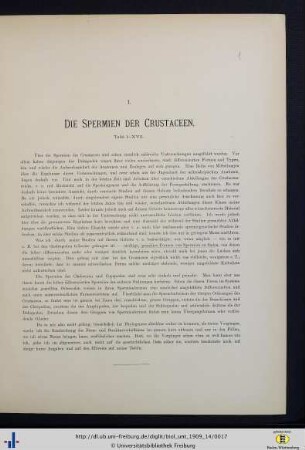 Die Spermien der Crustaceen.