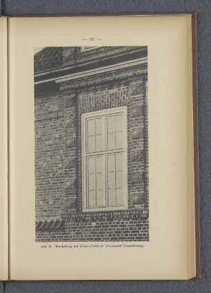Abb. 21. Wandteilung mit Klinker-Einsätzen (Irrenanstalt Friedrichsberg).