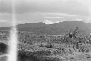 Hochplateau nahe der Stadt Gamo : Blick über das 2700m hoch gelegene Plateau bei Chencha.