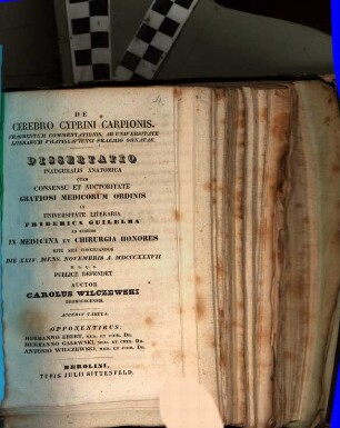 De cerebro cyprini carpionis. Fragmentum commentationis praemio ornatae : diss. inaug. anat. ; acc. tab.
