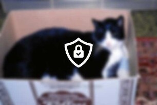 Trittau: Danziger Straße: Kater [Name maskiert]