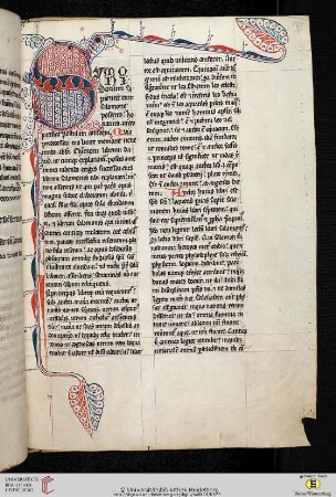 Honorius Augustodunensis [Expositio in Canticum canticorum]