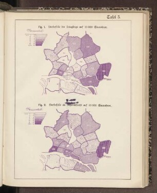 Tafel 3. Fig. 2. Sterbefälle an Schwindsucht auf 10000 Einwohner.