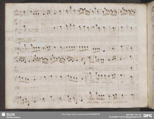 Duetto: Signor curatore la vostra pupilla