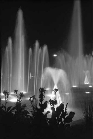Wasserspiele am Festplatz, bei Nacht beleuchtet.