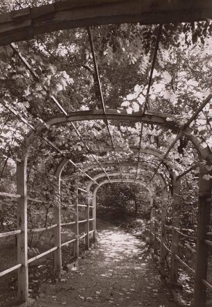 Park, Grimma