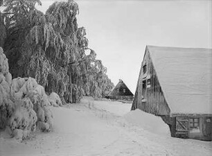 Seiffen-Heidelberg, Häuser am Waldrand des Ahornberges im Winter