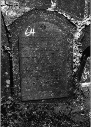 Grabstein 64 (Index: 99796393) Material: Sandstein Zustand: verwittert Maße HxBxT: 0x0x0 cm Beschreibung: Stele, Konvexbogenabschluß mit kleiner Verdachung, Schriftfeld eingetieft Symbolik: Blüte: Grabstein 64