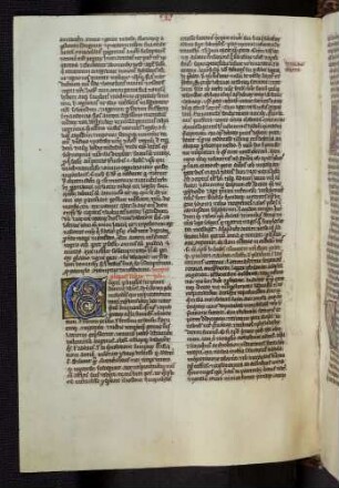 Zierinitiale (Prolog zum Buch Hiob): C(ogor per singulos)