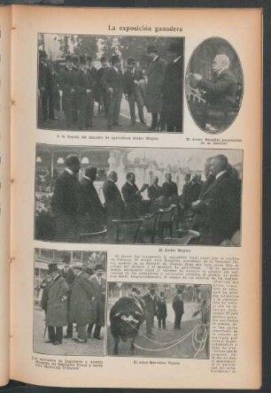 La exposición ganadera