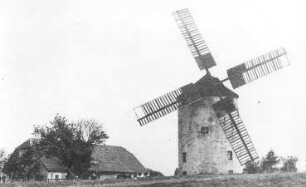 Königshain. Holländermühle am Wege nach Liebstein, Repro