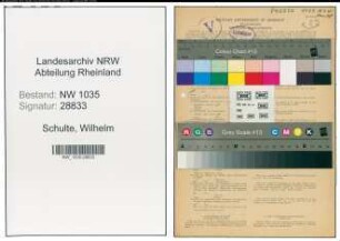 Entnazifizierung Wilhelm Schulte , geb. 30.08.1874 (Prokurist)