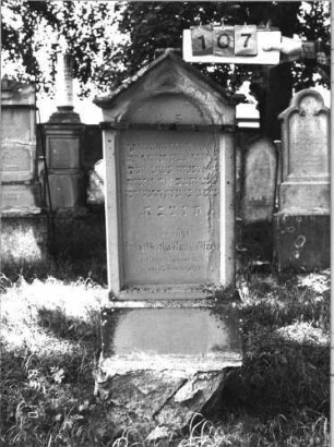 Grabstein 107 (Index: 99787110) Zustand: oberer, linker und besonders rechter Rand leicht verwittert Maße HxBxT: 154x62x19 cm: Grabstein 107