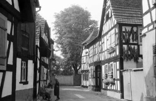 Jockgrim: Gasse mit Fachwerkhäusern und Baum
