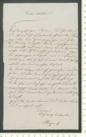 Brief von Max von Chamisso und Ernst von Chamisso an Antonie von Chamisso