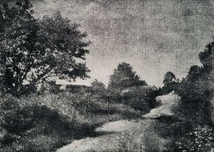 Sommerlandschaft