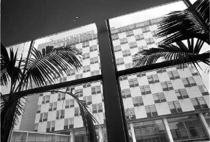 Berlin: Hiltonhotel; Außenfassade durch Hallenfenster und Palmen