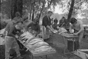 25. Fischerfest der Sportfischervereinigung Knielingen