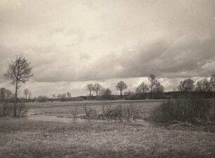 Oberlausitzer Niederung. Schwarze-Elster-Aue bei Laubusch unterhalb Hoyerswerda